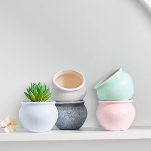 कारखाने थोक आधुनिक सजावटी वेस सिरेमिक पौधे बर्तन बहु-रंग रसीला बर्तन - Product Image 1