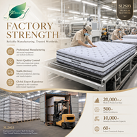 Luxuriöse Latex-Gel-Schaum-Matratze Gel-Memory-Foam Latex-Taschenfederkern Vakuumverpackt für Hotelprojekte King Queen Full Size