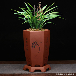 <span class=keywords><strong>Pot</strong></span> hexagonal en Zisha de Yixing avec base, respirant, pour Clivia, Cymbidium, Pothos et décoration de plantes matures - Vente en gros - Product Image 4