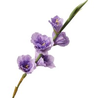 Bunga Artifisial F013 Real Touch, Gladiolus Putih Kuning Pink, Tangkai Panjang, Dekorasi