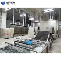 Aanpasbare commerciële IQF-vriestunnelmachine, snelvriestunnel voor de productie van diepvriesfrieten