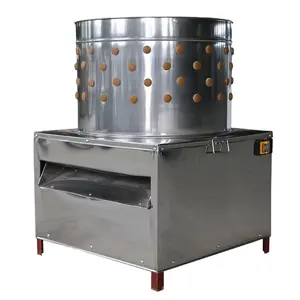 Poultry slaughterhouse equipment wq-50 chicken plucking machine