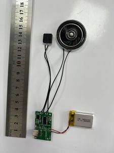 Módulo de Sonido Programable por USB, Descargable, Módulo de Música USB DIY, Módulo de Voz Personalizable con Chip de Sonido - Product Image 4