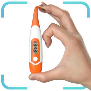 Suministros médicos Termómetro digital para fiebre Hogar Lugar DE TRABAJO Mascota Emergencia Trauma Portátil Táctico Viaje Botiquín de primeros auxilios Conjunto de bolsa - Product Image 2