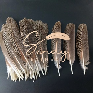 Plumas de pavo real naturales 25-30-35cm, plumas de alas moteadas de pavo real para tocado de baile, tocado, mochila, accesorio de disfraz - Product Image 6
