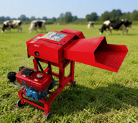 Henglu Nouvelle Hacheuse de Fourrage Efficace, Mini Broyeur à Diesel en Métal pour Ensilage, Herbe et Tiges de Maïs, Capacité 1 Tonne/heure, Facile à Utiliser pour l'Alimentation Animale