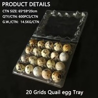 Cartons d'oeufs de caille en plastique Emballage d'oeufs de caille 20 trous Fournisseurs de boîtes d'oeufs de caille