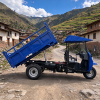 Tricycle de transport industriel à chargement lourd, tricycle à benne basculante diesel à trois roues