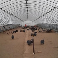 Grande serre agricole monopente mobile pour poulets de chair avec couverture en polycarbonate pour l'élevage avicole