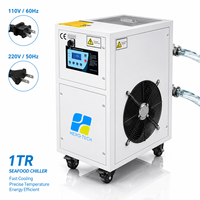 Refroidisseur d'eau pour aquaculture de fruits de mer 1TR |   Refroidisseur à température constante à refroidissement rapide 110V/220V pour aquarium et bac de stockage de fruits de mer