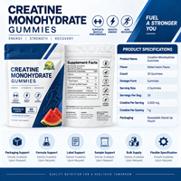 Gummies de créatine monohydrate à marque privée OEM, supplément en poudre à base de plantes saveur pastèque, électrolyte de créatine