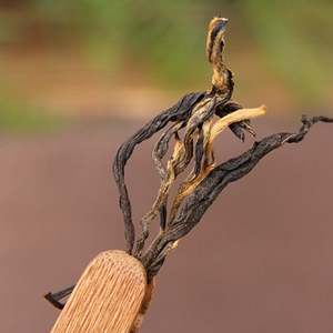Thé noir en vrac Kung Fu parfumé au miel d'arbre ancien DIAN HONG, fabriqué en Chine - Product Image 4
