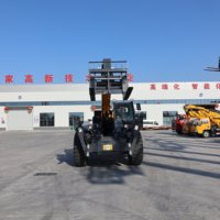 Chariot élévateur à palettes industriel à moteur diesel 4 roues motrices Capacité de charge de 300 kg Chargeur télescopique durable Faible consommation de carburant Matériaux de construction