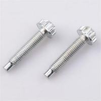 Vis de machine à tête cylindrique Torx externe en acier au carbone zingué, anti-effraction, anti-vol, à tête fleurie, classe 4.8 8.8