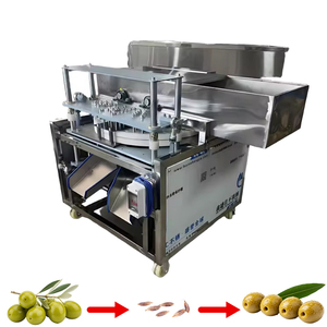 Separador Automático Industrial SM para Núcleos de Dátil y Jujube Deshidratados, 1.5kW, Capacidad 100-200kg/h - Product Image 1