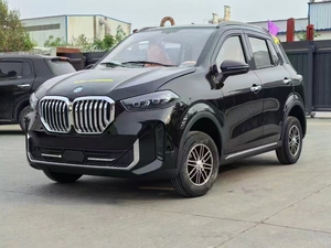 2025 Neues Mini Electric SUV 5-Sitzer 4-Rad EV Auto mit leistungs starkem Motor - Product Image 3