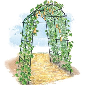 Treillis de jardin pour concombres avec filet d'escalade pour tomates, aubergines et légumes grimpants - Product Image 5