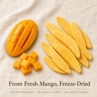 Gefreeze-droogde mango snack bulk knapperige plakjes FD-technologie originele fruitsmaak OEM private label export leverancier