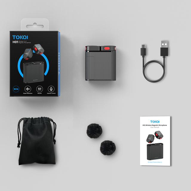 Mini Portable H01 Wireless Lapel Mic Omnidirectional Noise Canceling Clip Microphone With Type C Port for Mobile Video Recording