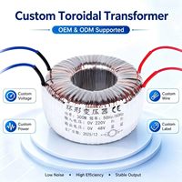 Transformateur d'isolement toroïdal 500VA 120V 48V 60Hz monophasé à enroulement en cuivre pour amplificateur audio et applications médicales