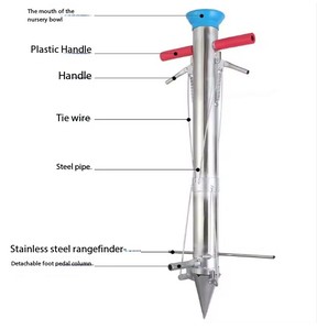 Trồng Cây Giống thủ công chất lượng cao được bán trực tiếp bởi nhà sản xuất - Product Image 2