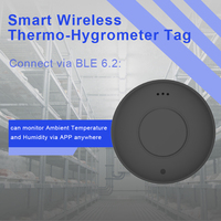 Balise BLE Holyiot de petite taille à 3 axes avec capteur de température et d'humidité pour le suivi d'actifs IoT