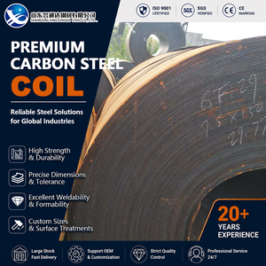S355JR S235JR Coated Hot Rolled 50mm 2000mm Stamping ASTM A1011 Carbon Steel Coil for Pipe Manufacturing - Product Image 1
