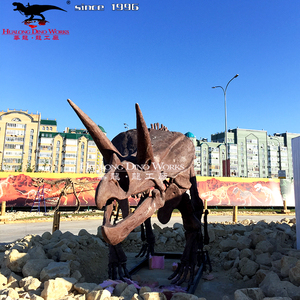 Bộ Xương khủng long của <span class=keywords><strong>Triceratops</strong></span> Bảo tàng hóa thạch khủng long kích thước cuộc sống - Product Image 3
