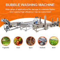 Commerciële Fruitwasmachine Plantaardige Luchtbel Wasmachine Groentesla Koolblad Reinigingsmachine Verwerkingslijn