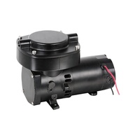 Pompe à vide électrique industrielle à double aspiration Maisi GZ 70-12 12V DC 100W 8A 2.3bar, personnalisable OEM