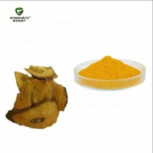 Rhapontic sibirya ravent kök ekstresi 98 Emodin tozu reyum Palmatum kaynağı sindirim destek formülü - Product Image 3