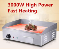 Plaque de cuisson électrique professionnelle en acier inoxydable pour extérieur, 1000-3000W, haute température, pour restaurant et usage domestique