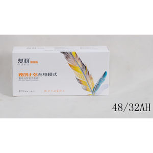 맞춤형 36V <span class=keywords><strong>48V</strong></span> 60V 72V 10Ah 20Ah 50Ah 60Ah E-바이크 전기 자전거 스쿠터 리튬 이온 배터리 팩 (BMS 충전기 포함) - Product Image 4