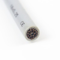 Cable Ethernet Flexible Blindado Cat6a LiYCY 300V, 18 Hilos, Conductor de Cobre de 0.25mm, Aislamiento de PVC, para Uso Industrial y Automatización