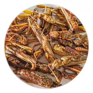 AquaV supports customized high-nutrient, high-protein freeze-dried grasshoppers for birds