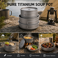 Marmite en titane pur pour le camping en plein air, ensemble de cuisine portable pliable pour la cuisine en plein air
