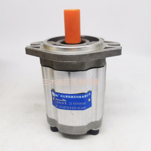 Pompe à engrenages hydraulique Luosheng CBTD-F425 ALH4L 250 bars, 1 étage, entraînement électrique - Product Image 1