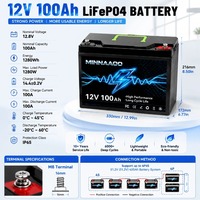 Baterai LiFePO4 12V 100Ah dengan BMS Terintegrasi, Baterai Lithium Iron Phosphate Siklus Dalam dengan Pengisi Daya untuk Penyimpanan Tenaga Surya, Kelautan, dan Sistem Off-Grid