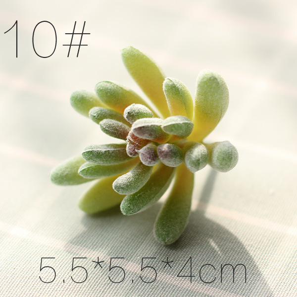SKU10