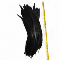 40-45cm(16-18inch) Plumes de coq noir Vente en gros Rooter Coque Tails pour coiffure Carnaval Sac à dos Décor