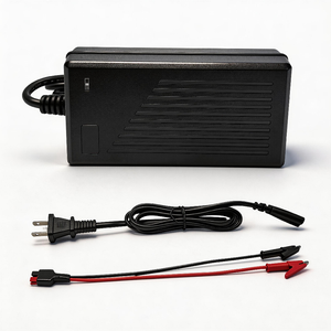 Cargador de Batería GSP 14.2V 4A LiFePO4 para Batería de Litio Hierro Fosfato de 12V, Adaptador de Corriente AC-DC - Product Image 1