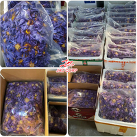 Thé en sachets de fleurs de lotus bleues séchées fermentées 100 % naturelles, marque privée OEM