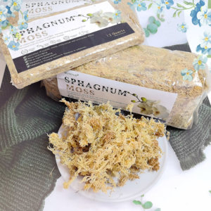 Terre de rempotage de mousse de sphaigne de luxe de 5.3oz pour plantes succulentes carnivores et orchidées-Sacs écologiques - Product Image 1