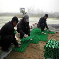 Grille de pavage en gazon pour parking, aménagement paysager, grille de pavage en gazon, grille de plantation en plastique pour gravier
