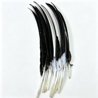 Plume d'aigle, grande plume noire, ensemble complet de plumes pour flèches