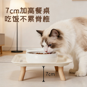 Pet Food Tray Ceramic Double Bowl Elevated Feeding Station For <b>Cats</b> - Product Image 4