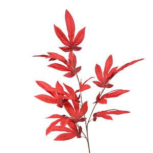 Plante Artificielle Dongchen Crafts, Grande Feuille Unique, 30cm-100cm, Fleur en Soie pour Décoration Maison et Mariage - Product Image 5