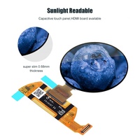 Panel LCD Smart Watch Bulat 1,39'' 1,39 Inci CTP 240x240, Modul Layar Sentuh AMOLED OLED
