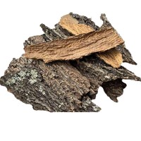 Racine d'arbre artificielle ronde en liège naturel pour terrarium de reptiles, aquascape pour animaux de compagnie, pour lézards, araignées, scorpions, caméléons