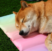 Tapis rafraîchissant pour animaux de compagnie, respirant, personnalisé, réutilisable, non toxique, imperméable, pliable, en gel, écologique, doux, durable, pour chat et chien
